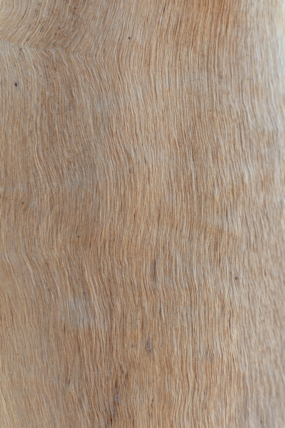 Natural wood grain with wavy texture and fine lines.